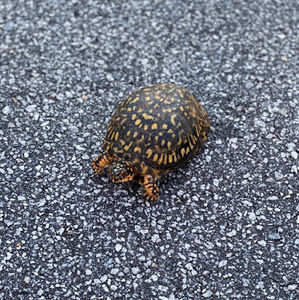 Meet your Posher, Vicky